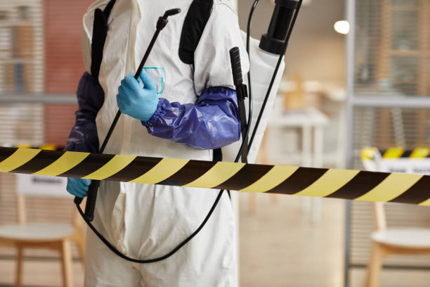 Professional Sewage Cleanup technician working in Rumson, NJ